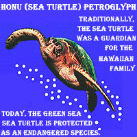 Honu Petroglyph